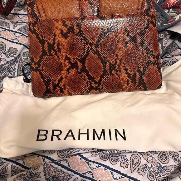 Brahmin - Picture 2 of 2